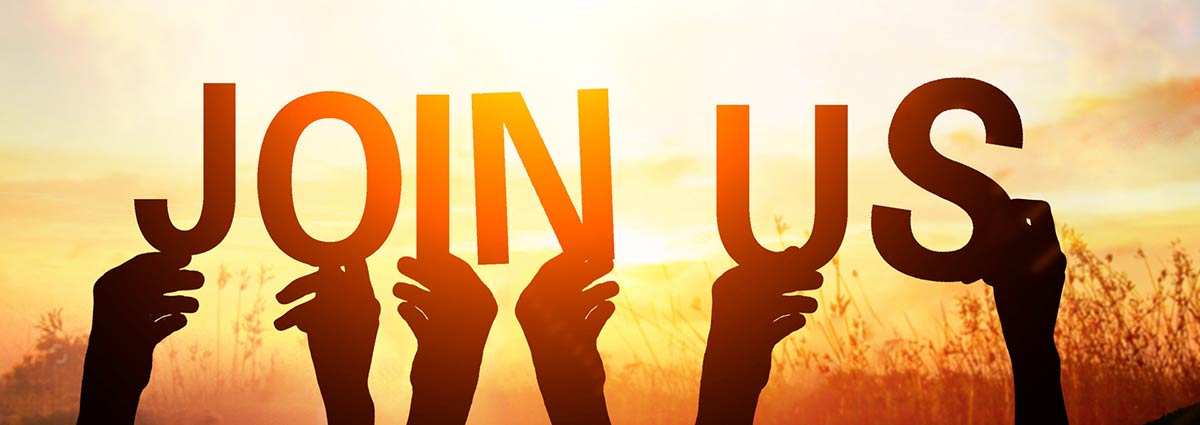 500830777_banner.jpg 500830777_banner.jpg